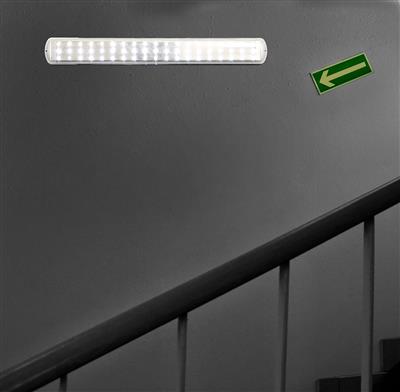 Ranex 10.013.97 LED veiligheidslamp oplaadbaar 6000.451