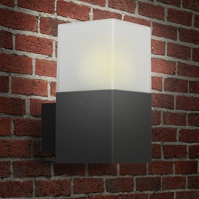 Ranex 10.068.48 Luz LED exterior para la pared 5000.483