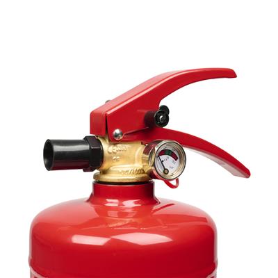 Smartwares FEX-15125 2kg Estintore a polvere BB2.4