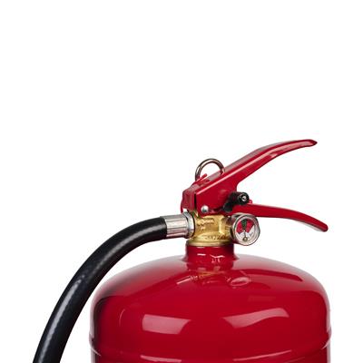 Smartwares FEX-15290 9L Extintor de incendios (SB9) SB9.4