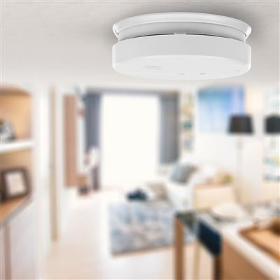 Smartwares FSM-17400 Rilevatore di Fumo 230V FSM-174