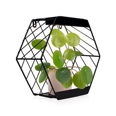 Smartwares OSL-50013 Lampada solare per piante da parete a LED
